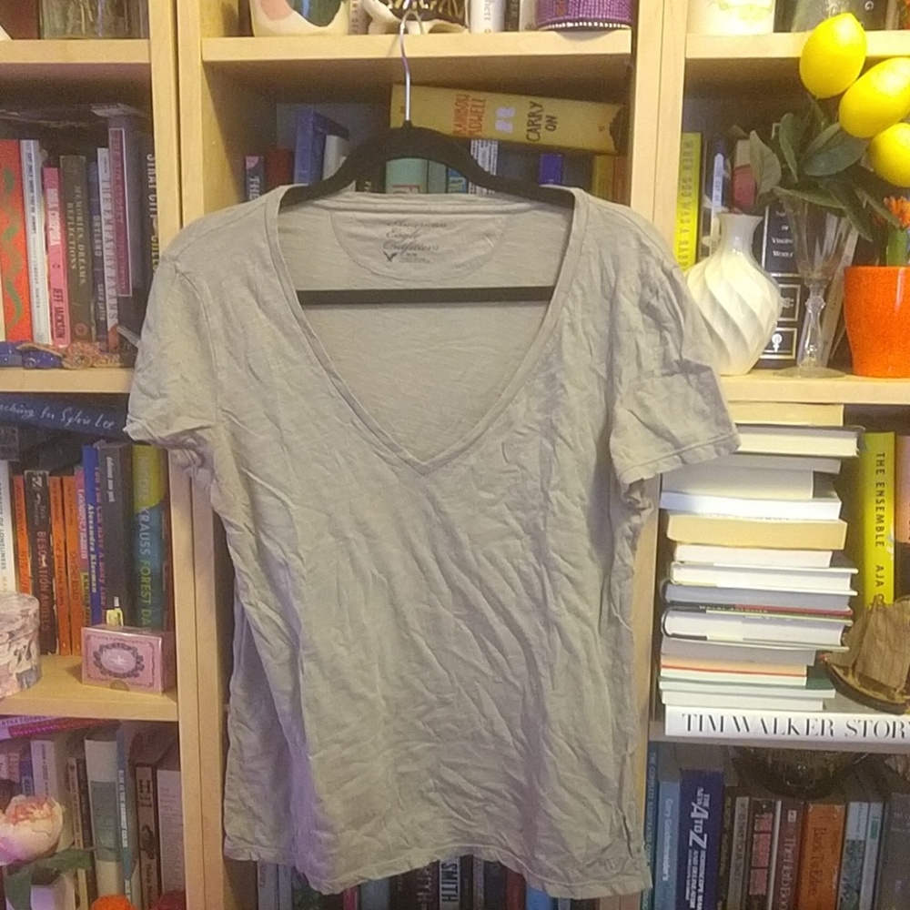 AMERICAN EAGLE warm gray vneck shirt